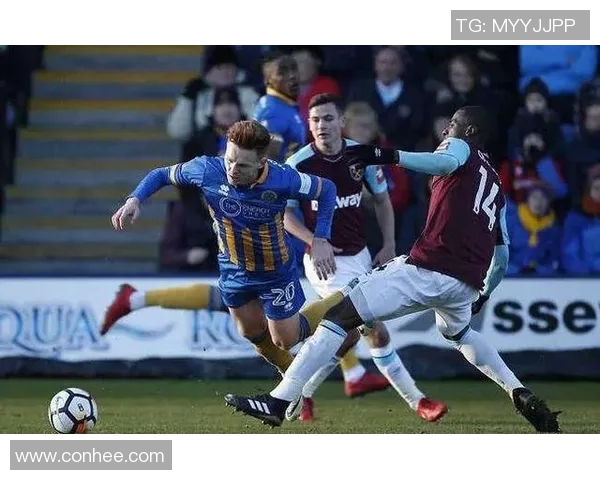 哈德斯与莱切对决前瞻分析及比赛结果预测探讨