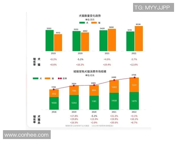 卡里斯勒韦尔在NBA赛季中的表现分析与未来发展潜力探讨