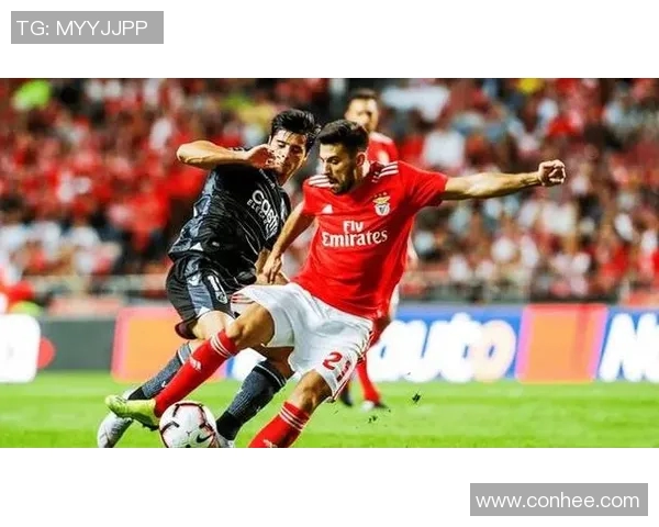 阿雅与尼姆对决前瞻分析及比赛结果预测全解析 阿雅与尼姆对决前瞻分析及比赛结果预测全解析