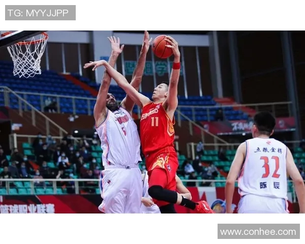 阿根廷与巴西排球对决激情碰撞谁能笑到最后