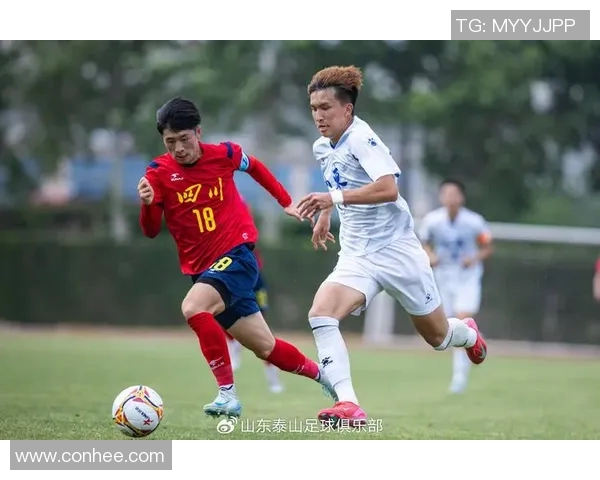 四川对阵山东精彩直播全程回顾与赛后分析尽在这里 四川对阵山东精彩直播全程回顾与赛后分析尽在这里
