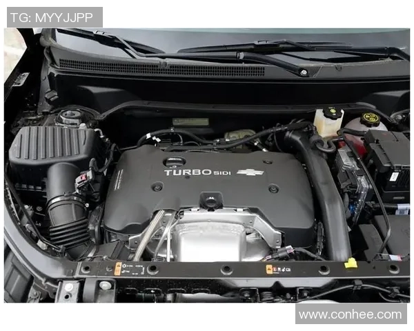 尼罗卡与新德里激战正酣谁能在这场对决中笑到最后 尼罗卡与新德里激战正酣谁能在这场对决中笑到最后