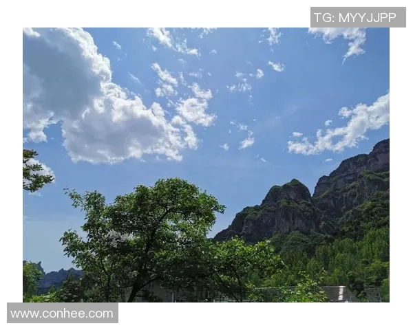 李伟独家分享英雄联盟游戏心得与技巧助你提升段位和战斗力