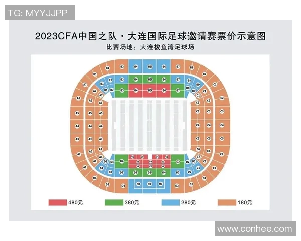南京足球队在精英赛中的实力展现与战术分析
