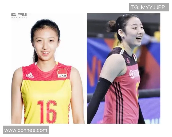 深度对话杨芳分享她的排球人生与奋斗历程的精彩故事